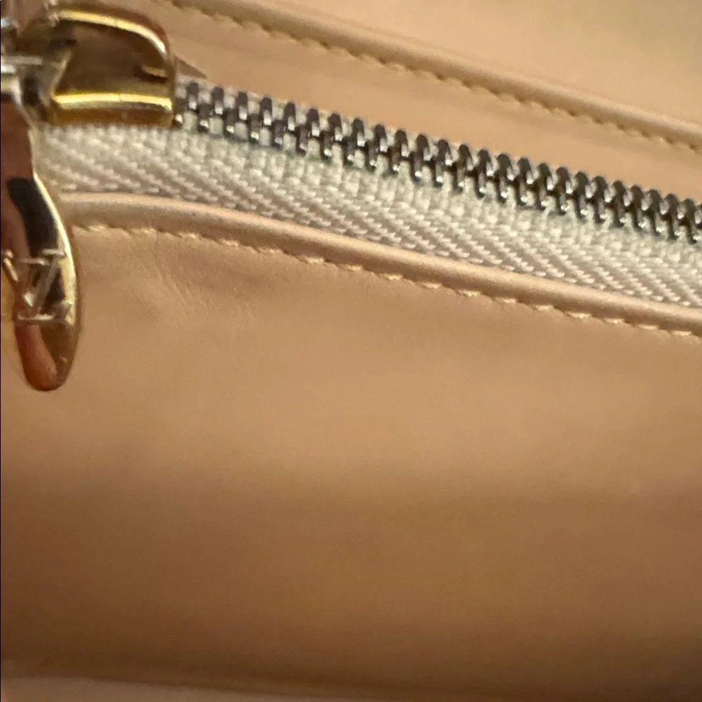 Louis Vuitton Murakami Multicolor wallet